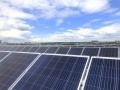 «ПрофХолод» ввел в эксплуатацию самую крупную солнечную электростанцию в Щелково