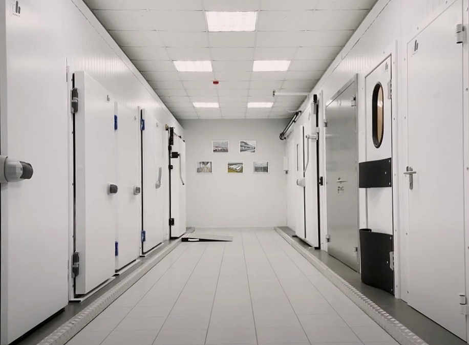 15 типов дверей для вашего бизнеса: «ПрофХолод» опубликовал видеообзор холодильных и промышленных дверей